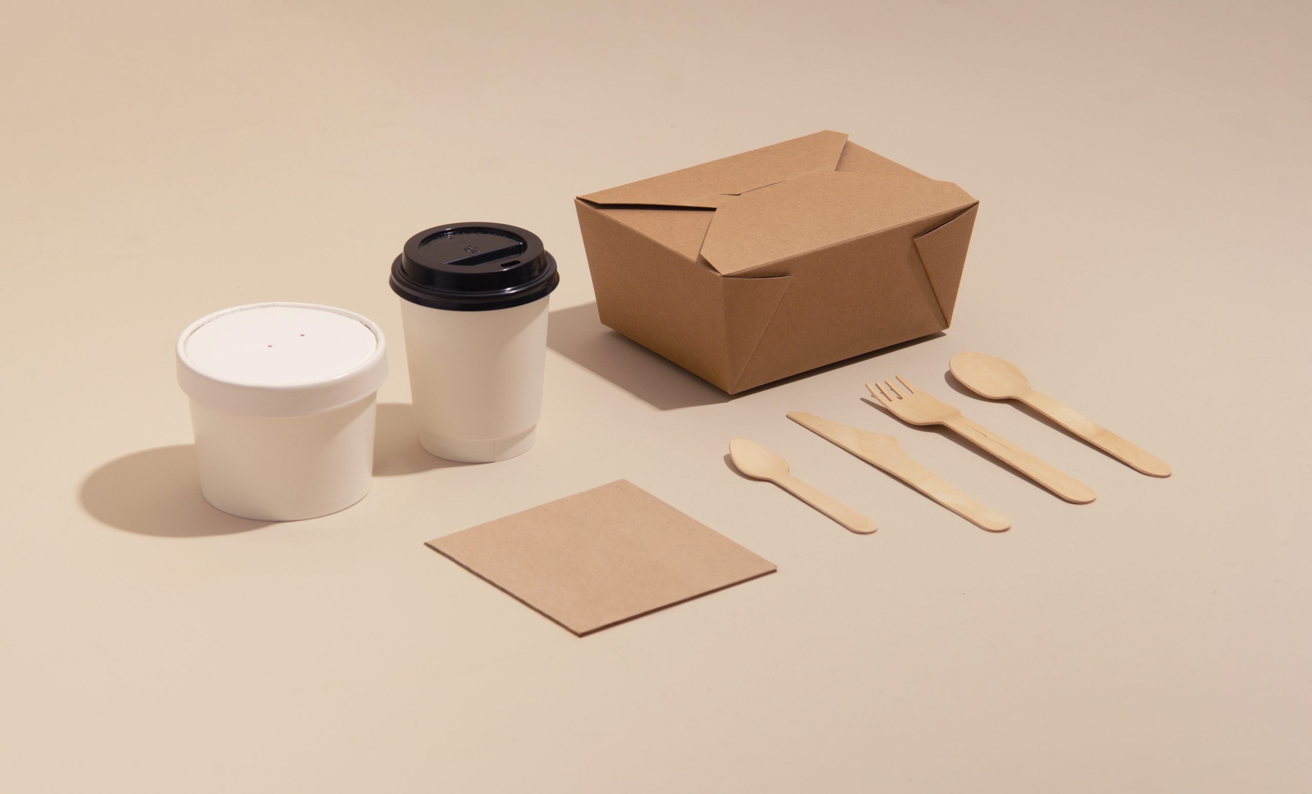 From Plastic to Paper: Pioneering A Greener Future with Eco-Friendly Food Packaging