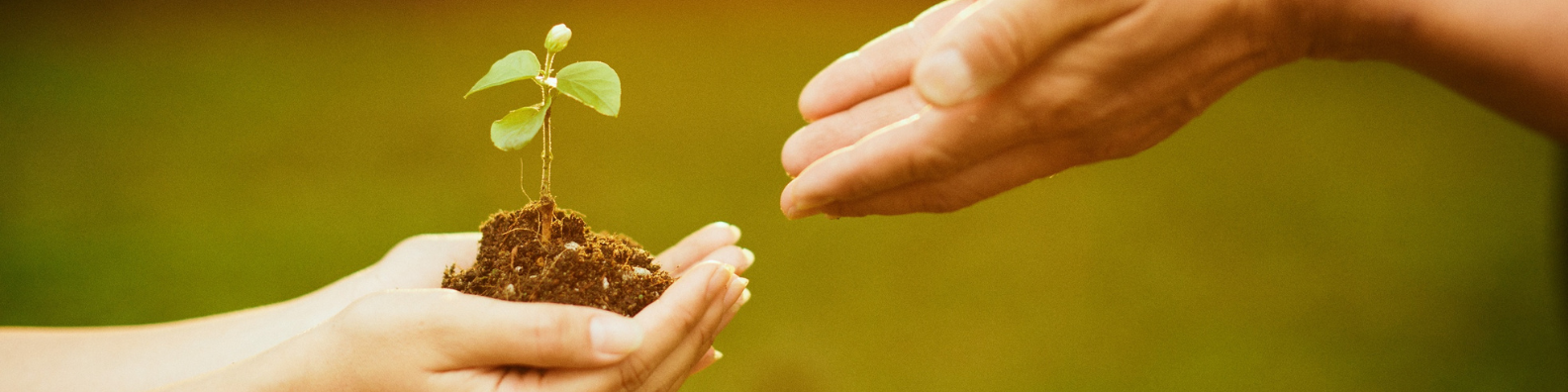 Our Operating Values